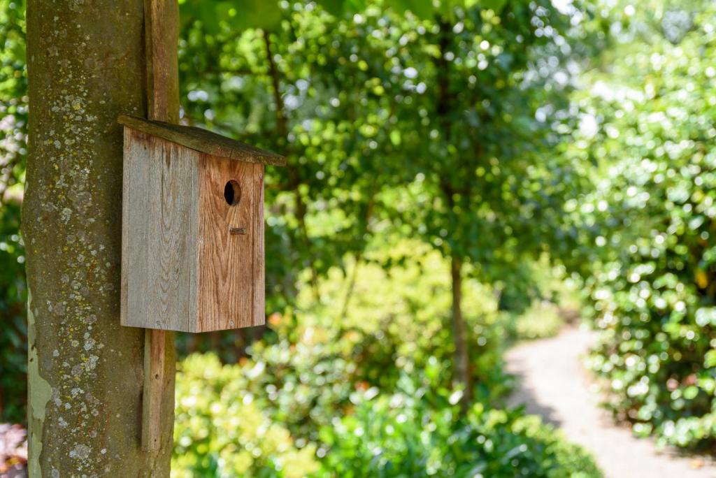 Zahrada ubytování LUXE vakantiehuis voor 6P voorzien van alle gemakken @Veluwe