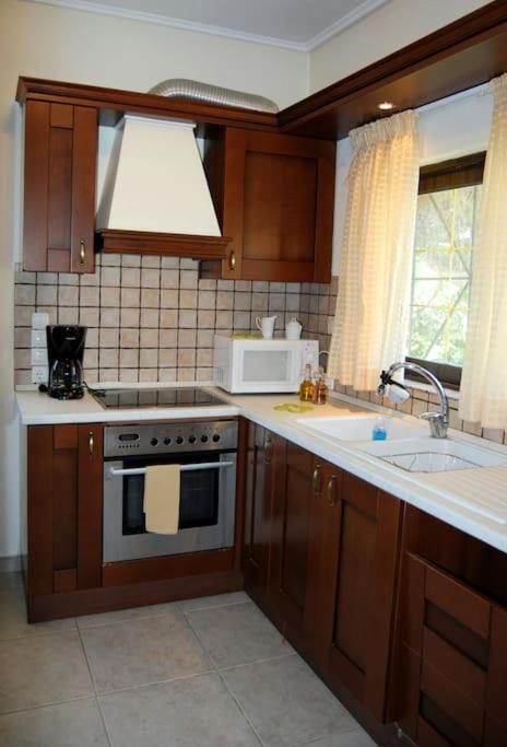 Kuchyň nebo kuchyňský kout v ubytování Luna Apartment, Rafina