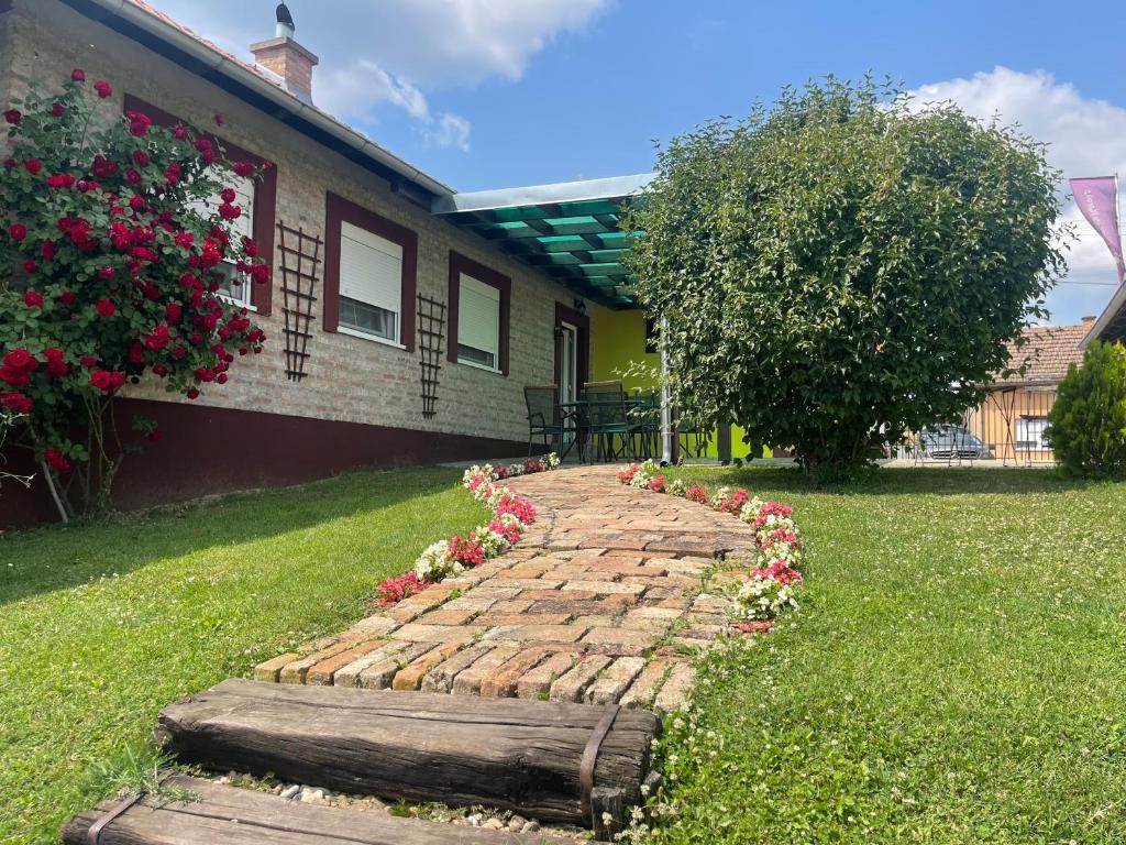 Zahrada ubytování Vila Sunce Morovic