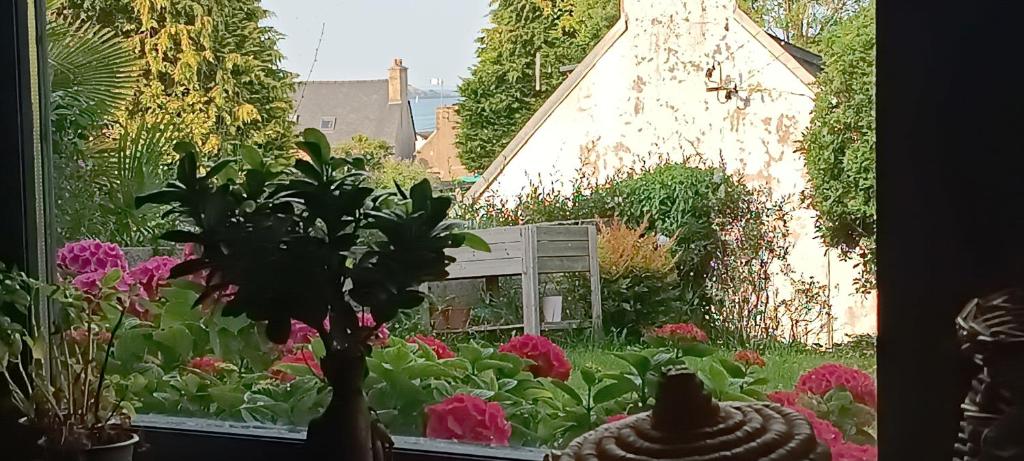 ein Fenster mit Blick auf einen Garten mit Blumen in der Unterkunft Maison de bord de mer - vue mer - location à la semaine in Paimpol