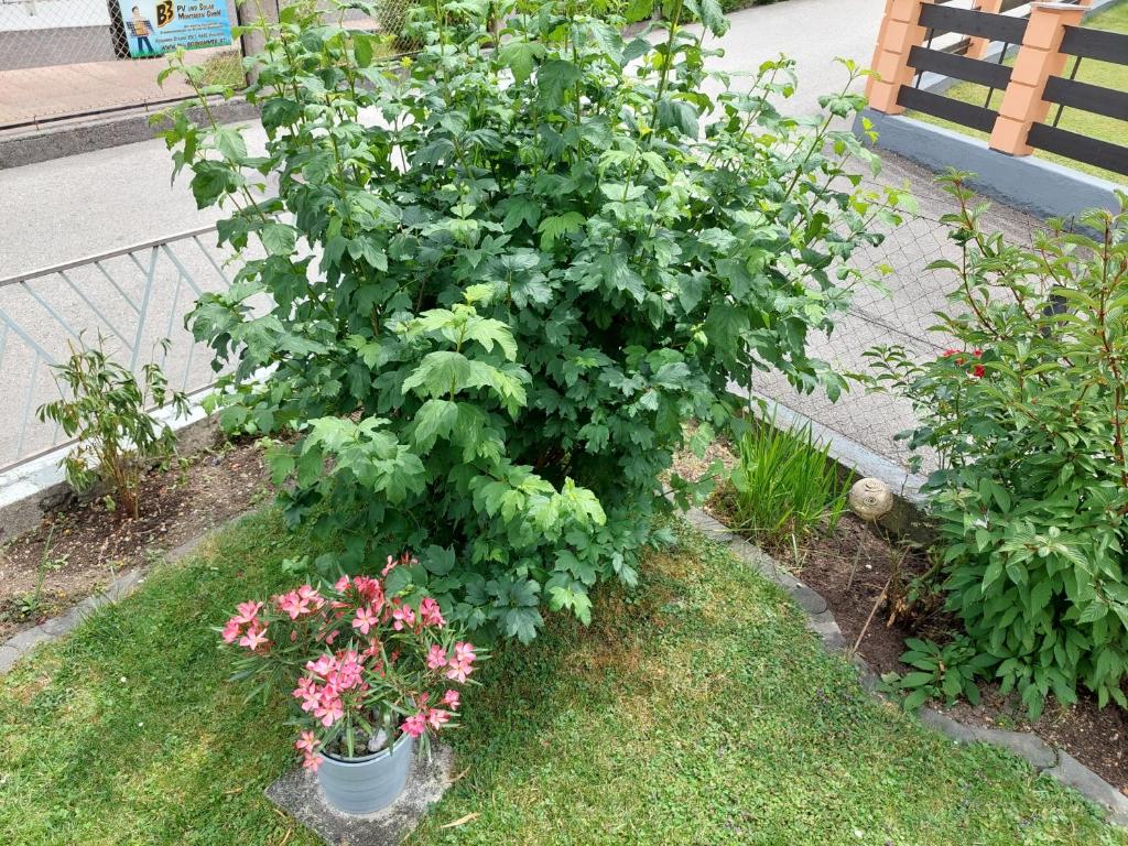 Een tuin van Wohnung mit Charme in Pinsdorf