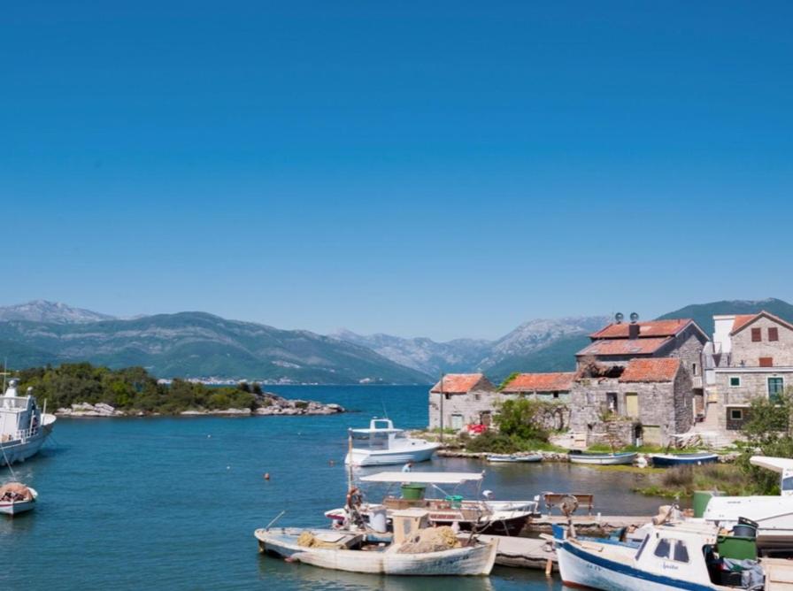 a group of boats are docked in a harbor at Sea Mona in Tivat