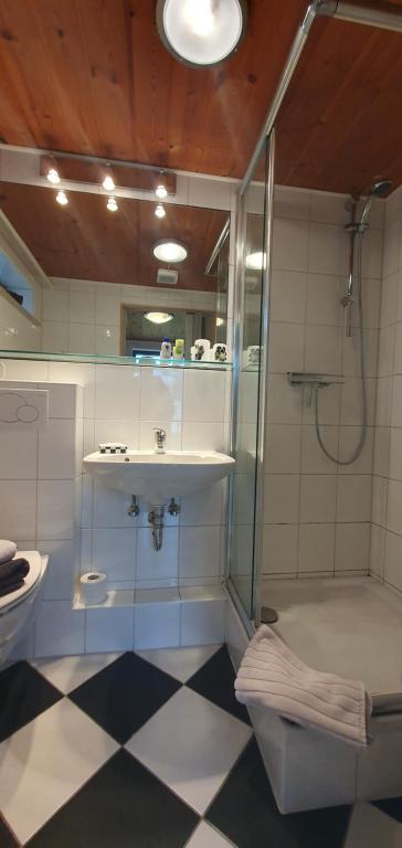 uma casa de banho com um chuveiro, um lavatório e um WC. em Garden Apartment em Dusseldorf