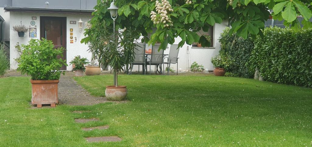 Zahrada ubytování Garden Apartment
