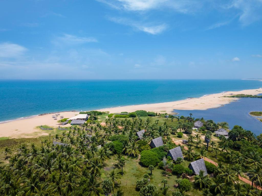 una vista aerea di una spiaggia con palme di Elements Beach & Nature Resort a Kalpitiya