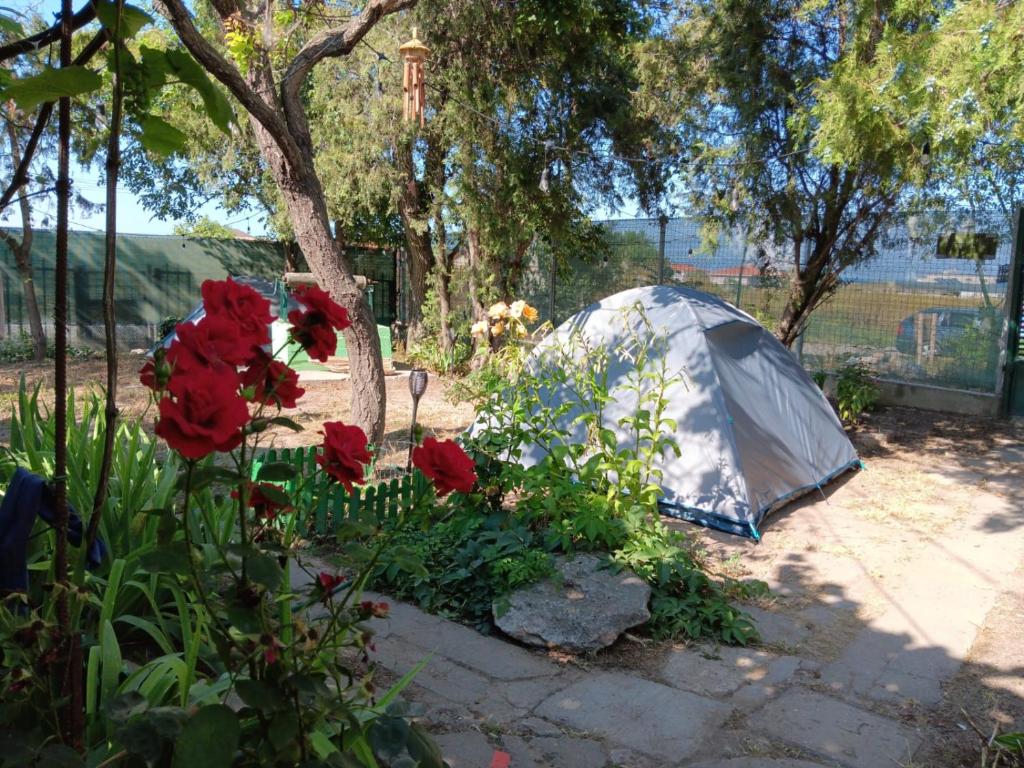 a tent in a garden with red flowers at Camping Curtea Pescărușului in Vama Veche