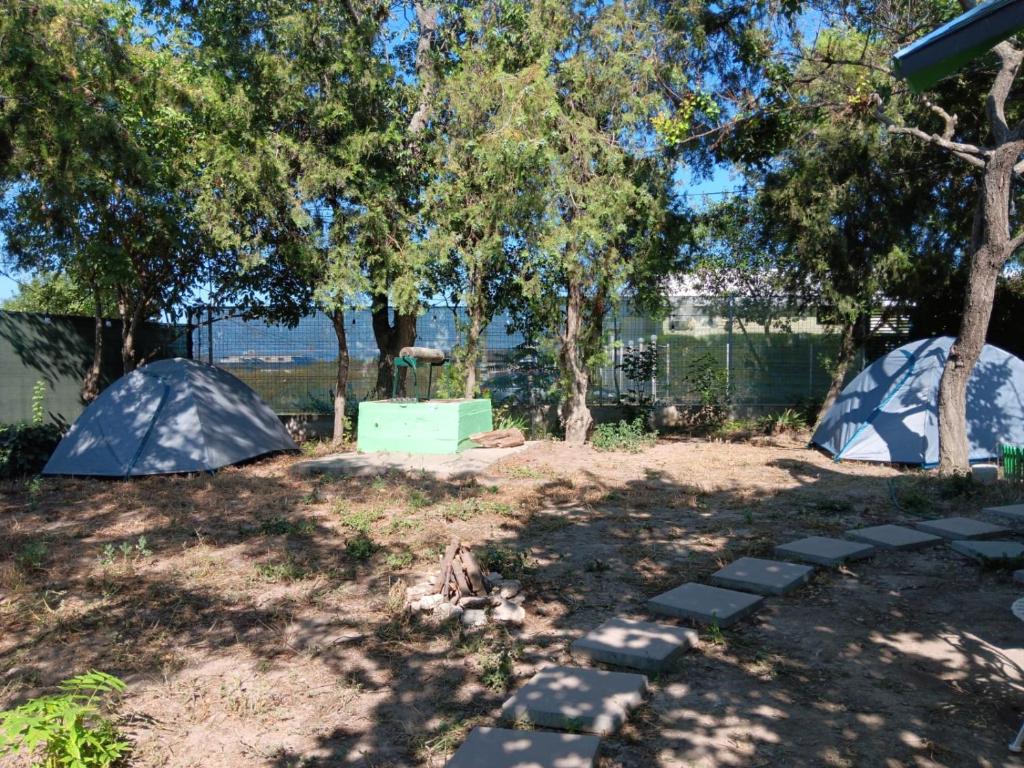 Camping Curtea Pescărușului, Vama Veche – Prețuri actualizate 2024