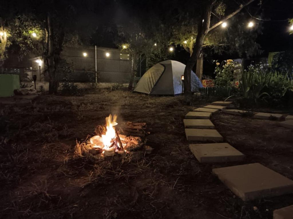 Camping Curtea Pescărușului, Vama Veche – Prețuri actualizate 2023