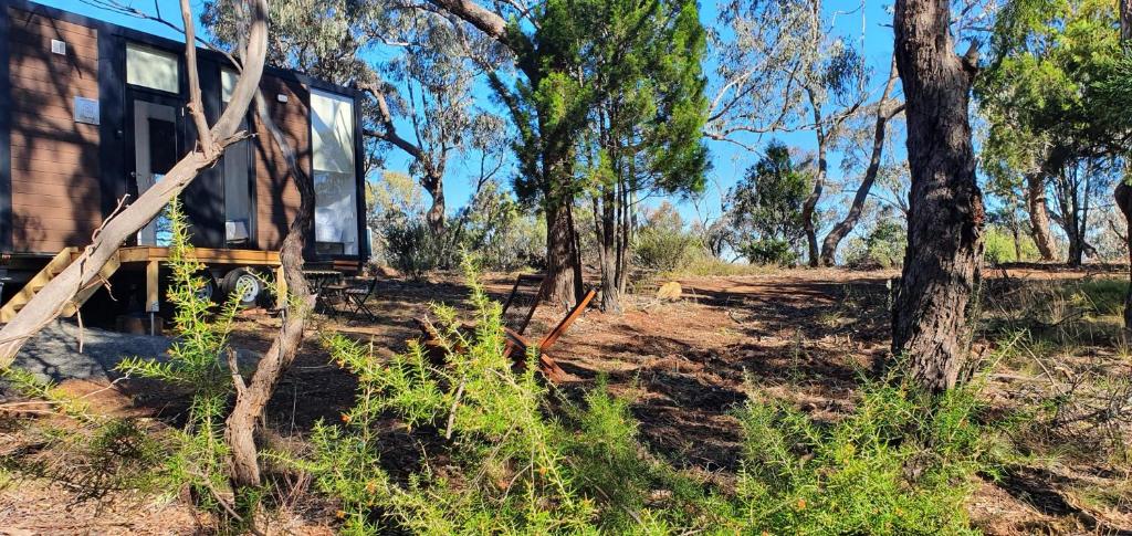 a cabin in the woods with trees in the background at Ridgeway Retreat in Queanbeyan