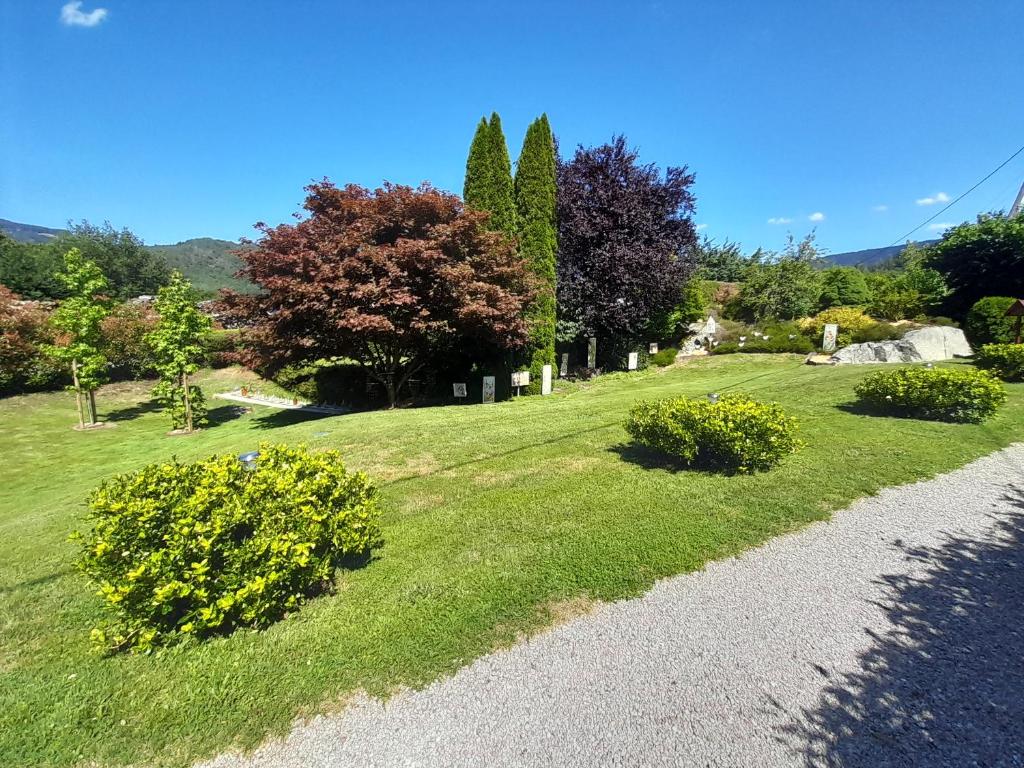 a garden with green grass and bushes and trees at Chalet de Grettery in Saulxures-sur-Moselotte
