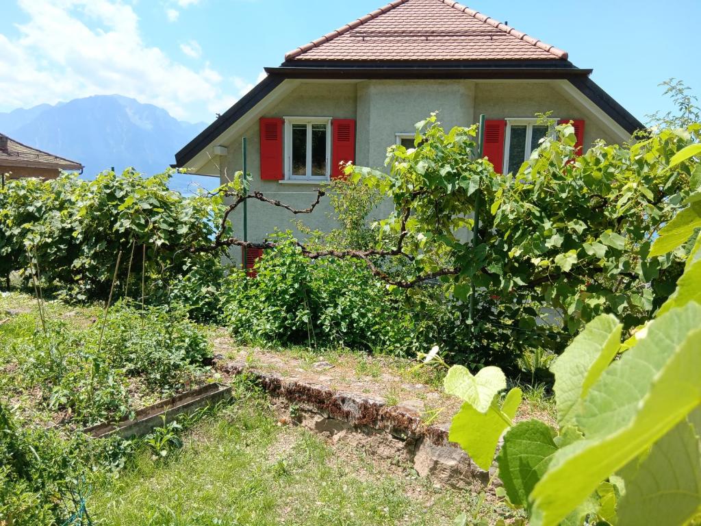 Taman di luar La plus belle vue du lac Léman