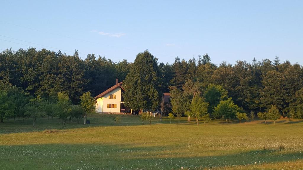 ein Haus mitten auf einem Feld in der Unterkunft Country Villa Velebit, Sveti Rok, Lika in Sveti Rok