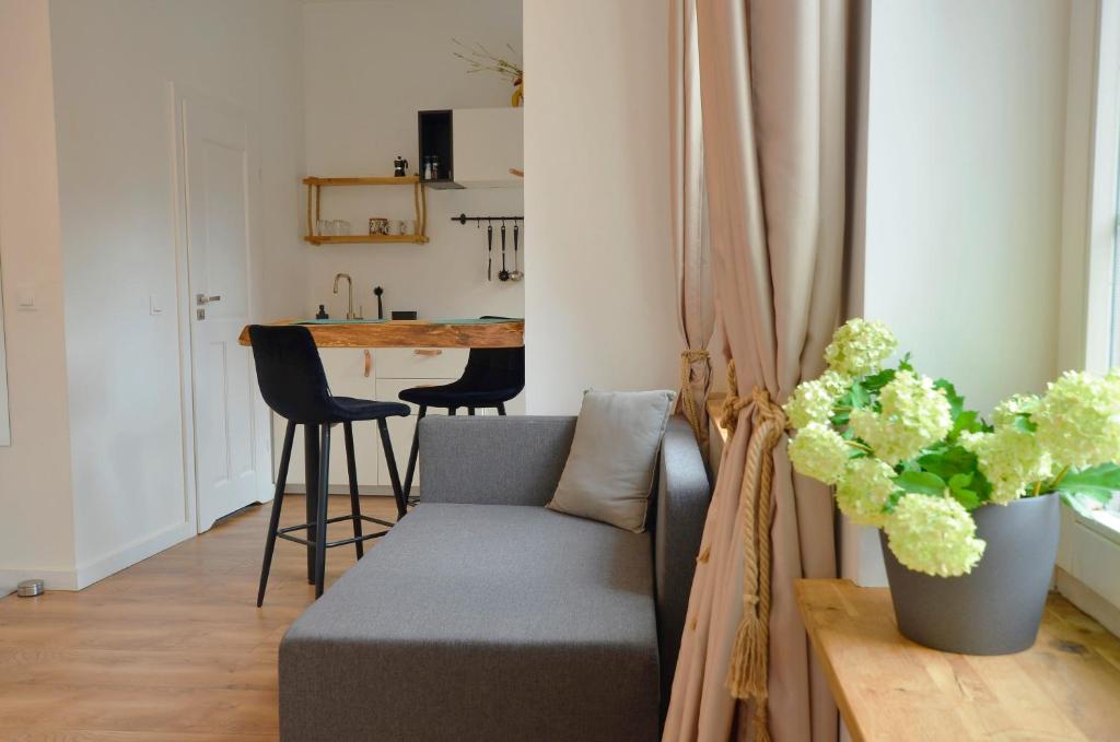 Kuchyňa alebo kuchynka v ubytovaní Apartament Szeroka Old Town