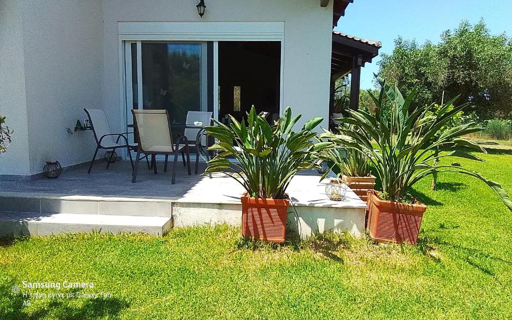 Zdjęcie z galerii obiektu Villa Raphael w Lixoúrion