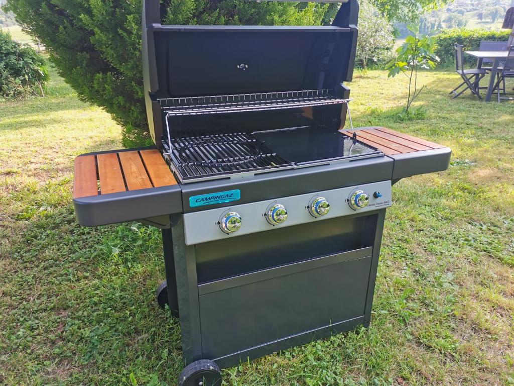 Sprzęt do grillowania w apartamencie