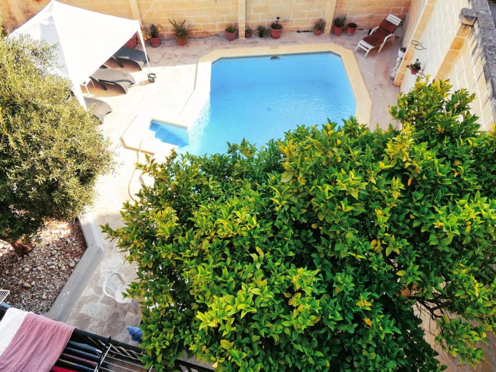 an overhead view of a swimming pool with plants at Double bedroom with private bathroom, NO KITCHEN in Il-Gżira
