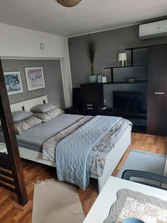 a bedroom with a large bed and a television at Studio Vrnjci 961 in Vrnjačka Banja