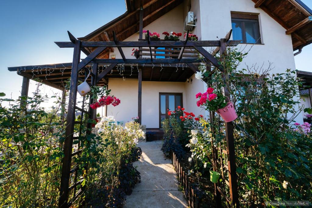 Zahrada ubytování Casa Dora