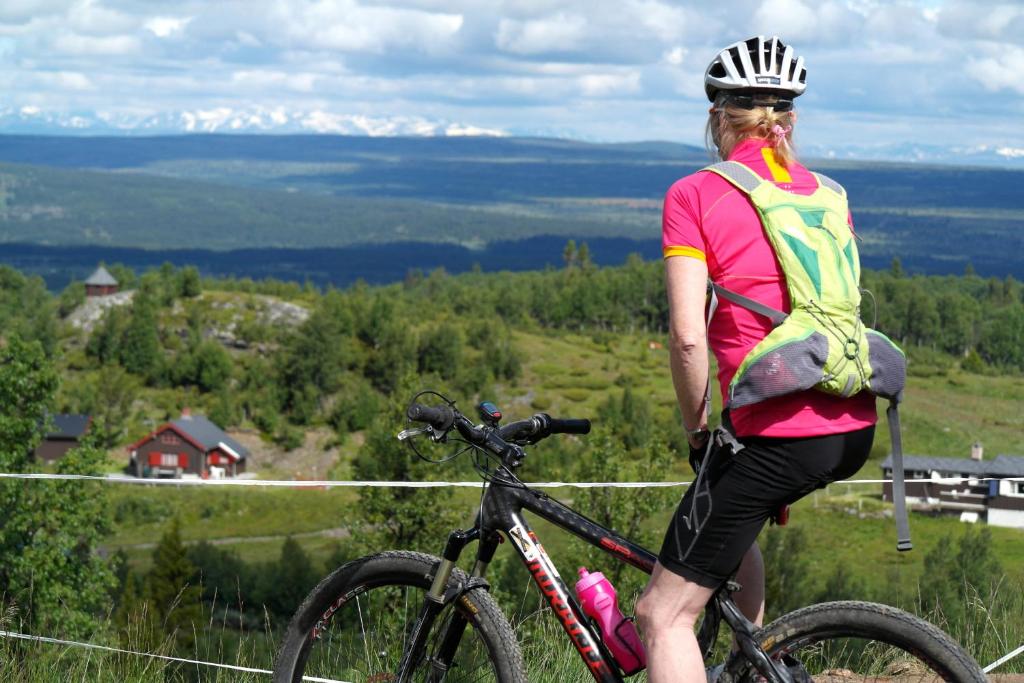 Hosté ubytování Oset Fjellhotell