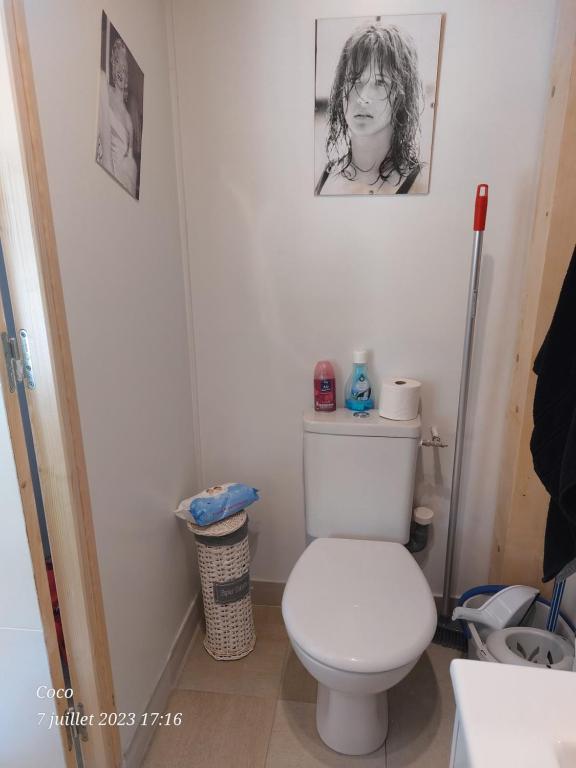 Un baño de DORMIR A MONTAUBAN Logements Carreyrat Calme et Verdoyant