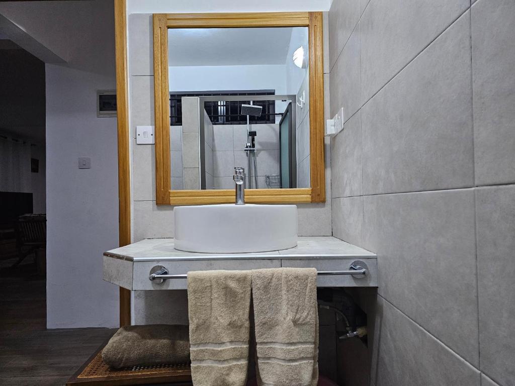 a bathroom with a sink and a mirror at Villa Trochetia in La Gaulette