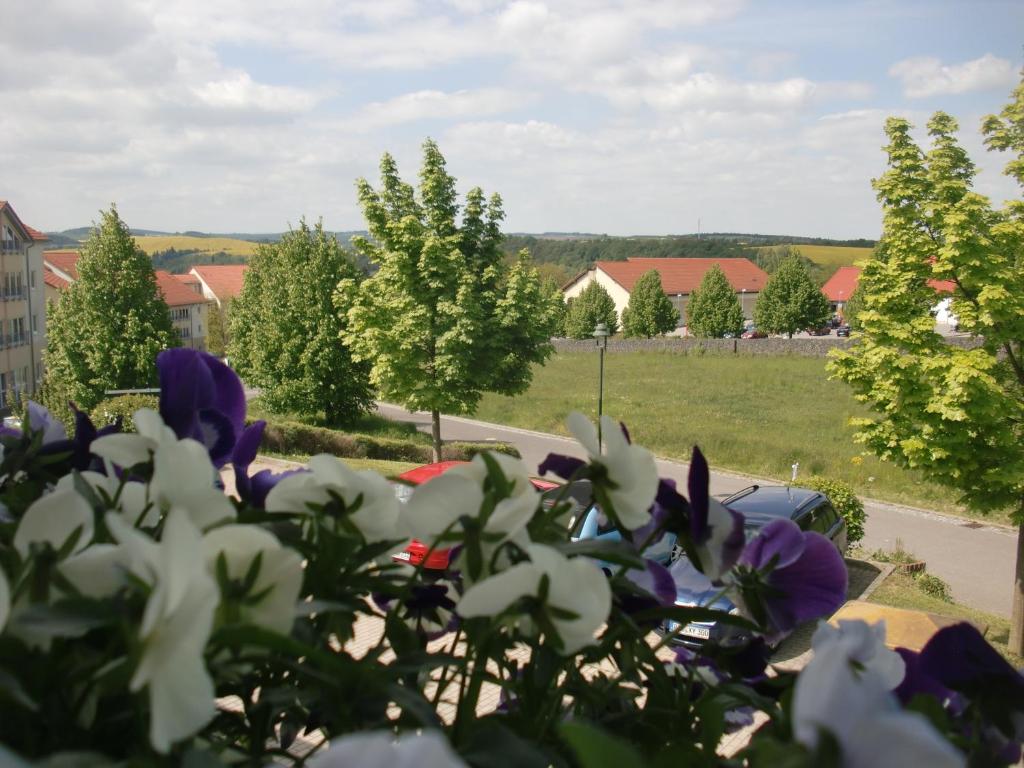 Zahrada ubytování Hotel Am Heidepark