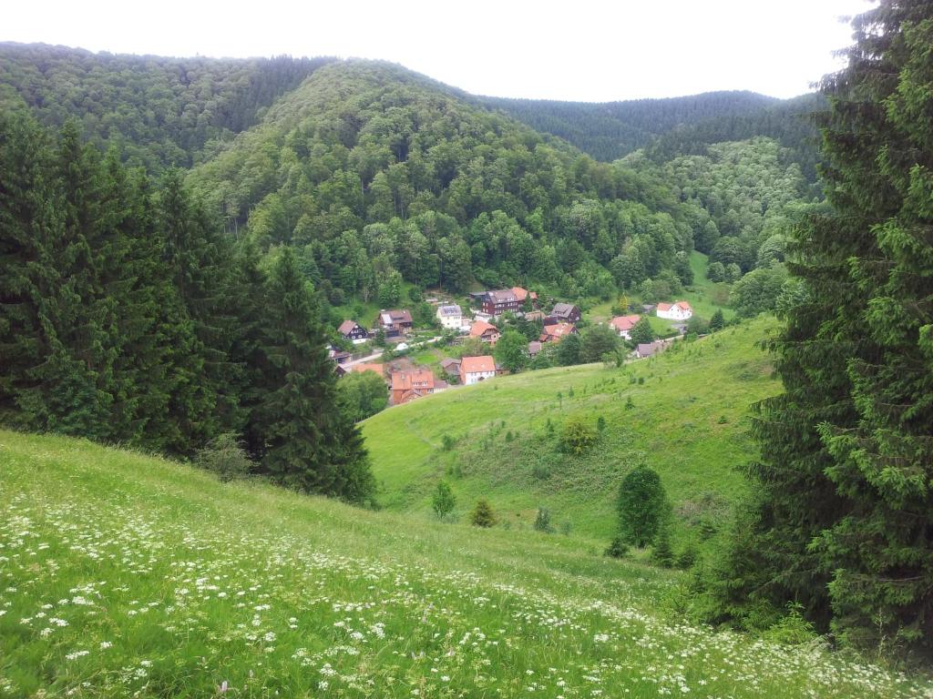 ein kleines Dorf auf einem grünen Hügel mit weißen Blumen in der Unterkunft Sleep in Lerbach in Osterode