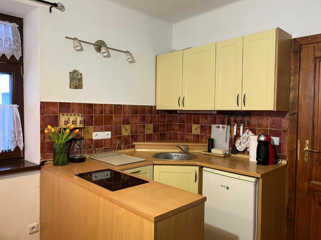 Kuchyň nebo kuchyňský kout v ubytování Apartmán Z.E.M.