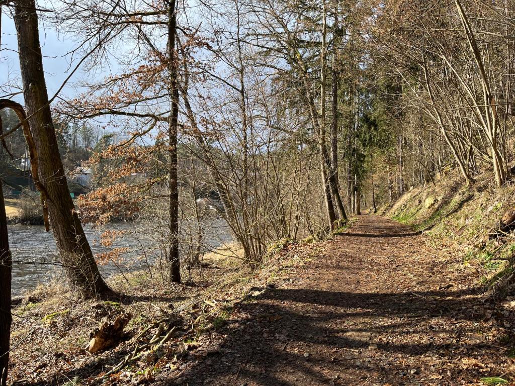 Příroda nedaleko apartmánu