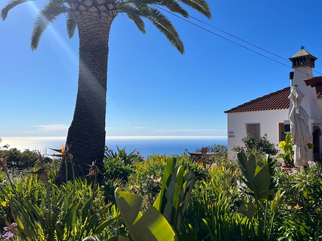 eine Palme und ein Haus mit dem Meer im Hintergrund in der Unterkunft Casa Lucia in Puntagorda