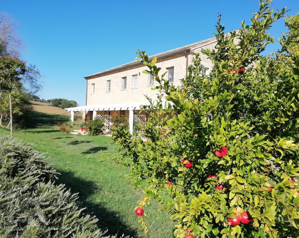 Ogród w obiekcie Il Giardino nella Valle