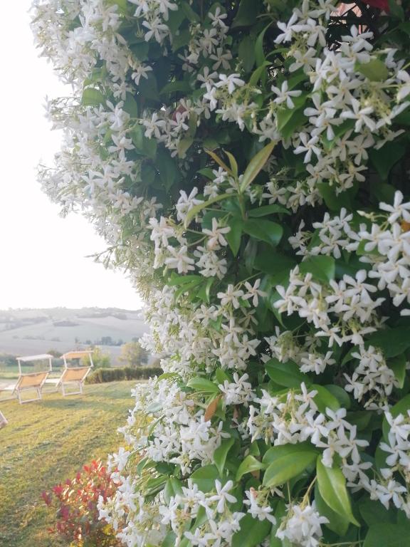 Ogród w obiekcie Il Giardino nella Valle