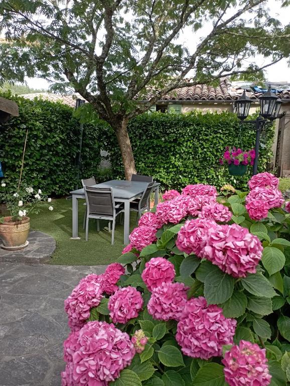 Une bande de fleurs roses devant une table dans l'établissement La Messine, à Cros