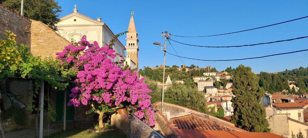 Ein paar rosa Blumen hängen an der Seite eines Gebäudes in der Unterkunft Holiday Home Amazing View in Piran