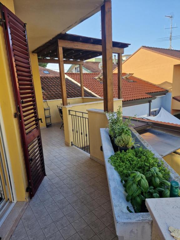 eine offene Tür zu einem Balkon mit Gemüse in der Unterkunft Appartamento Rosy in Rimini