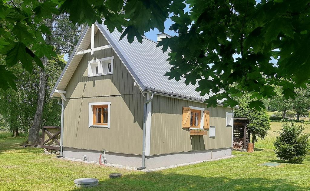 ブブラヴァにあるSofia Chaletの小さな緑の家
