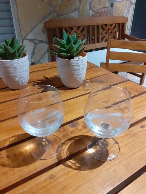 SkálaにあるLuxury Beach Villaの鉢植えの植物が並ぶ木製テーブルの上にグラス2杯