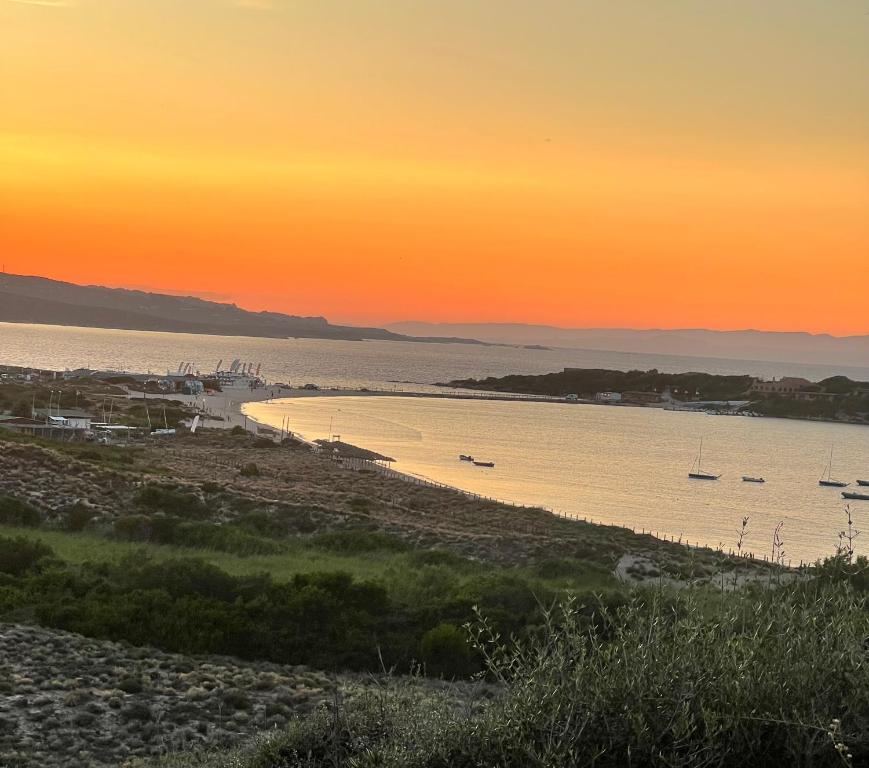 porto pollo