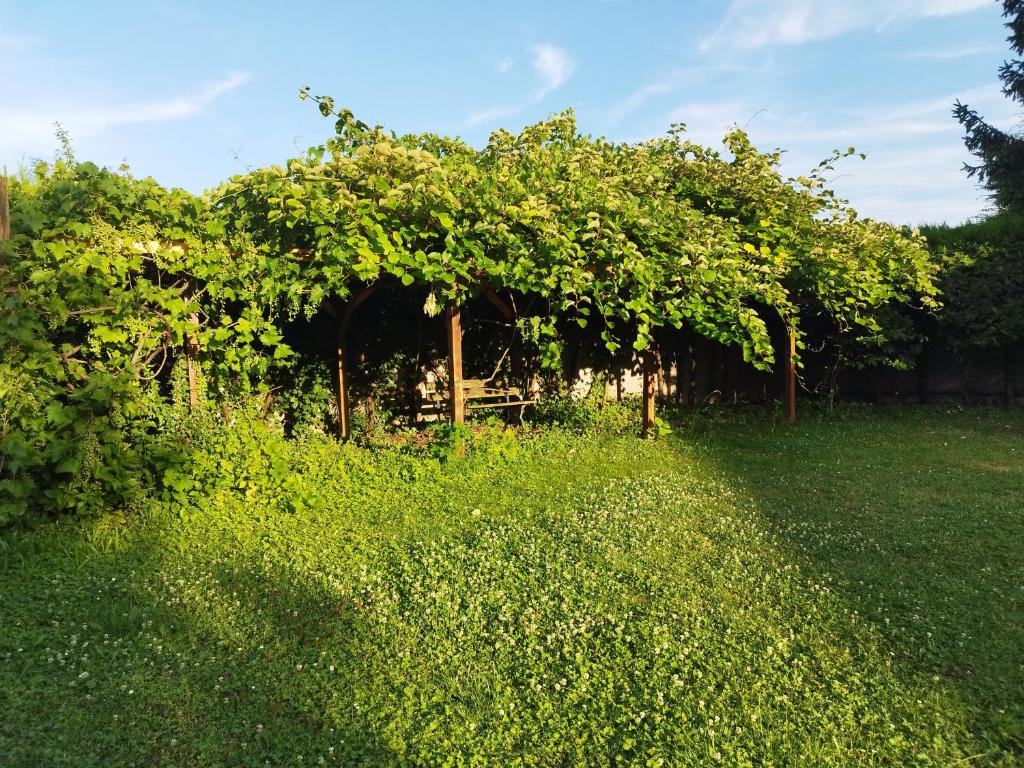 RIVER side - cosy - lot of space – photo 3