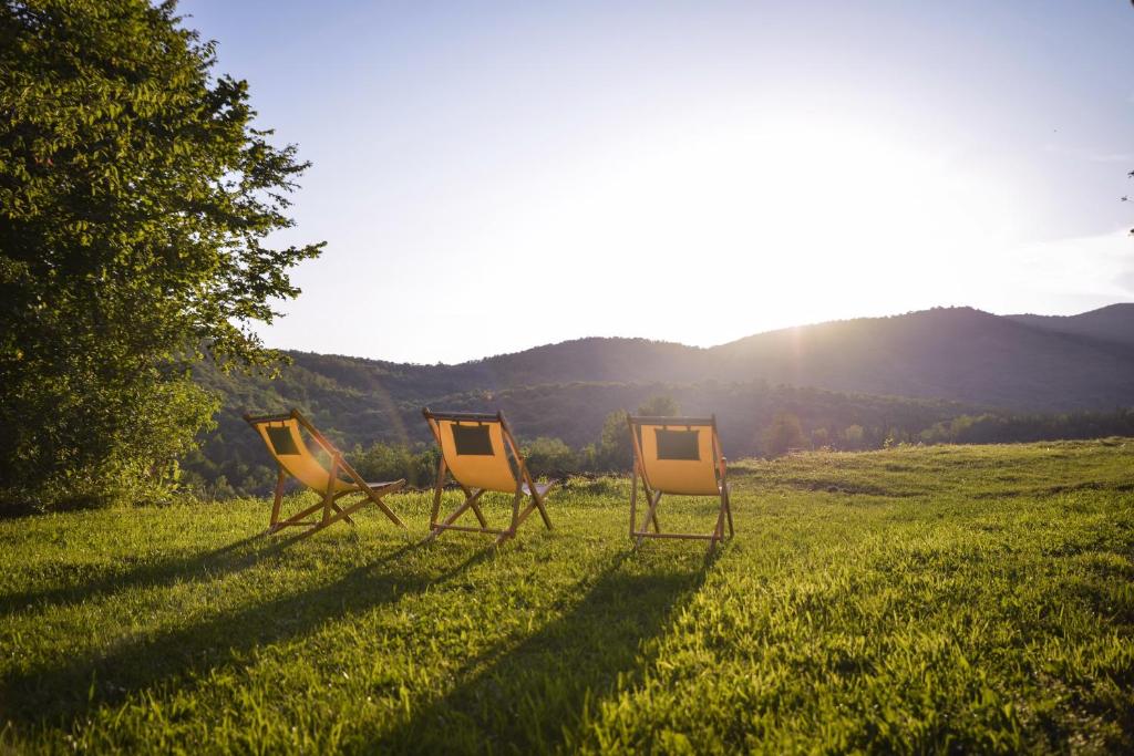 three chairs sitting in the grass in a field at 1st Truffle House Žumberak in Ozalj