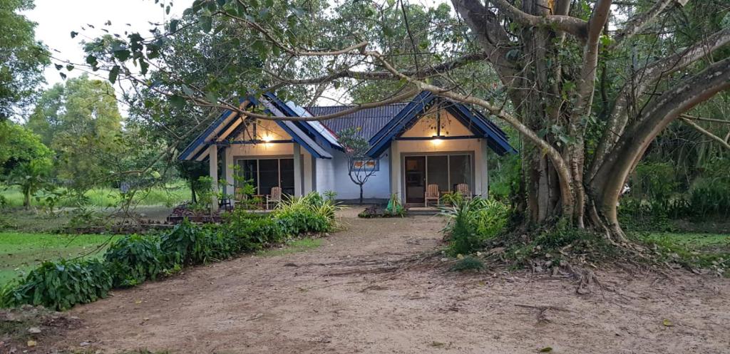 ein kleines Haus mit einem Baum davor in der Unterkunft The Croft Sri Lanka 