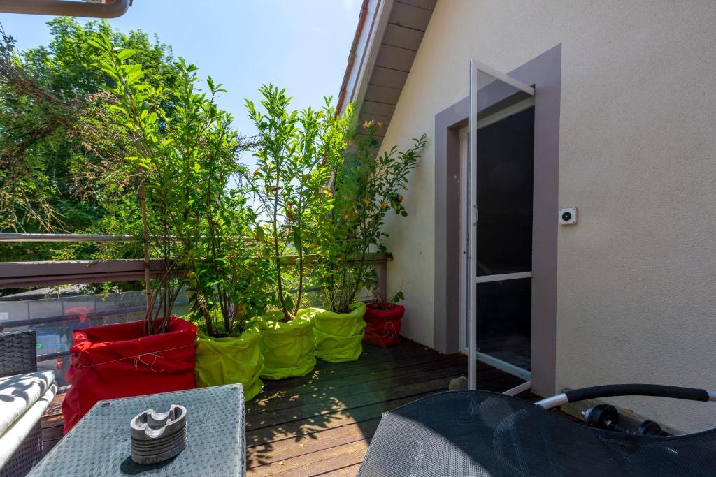 Zahrada ubytování BnB Comfort Guesthouse Olten - Lostorf