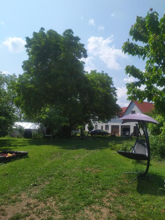 a yard with a tree and a house at Apartmány u koní 