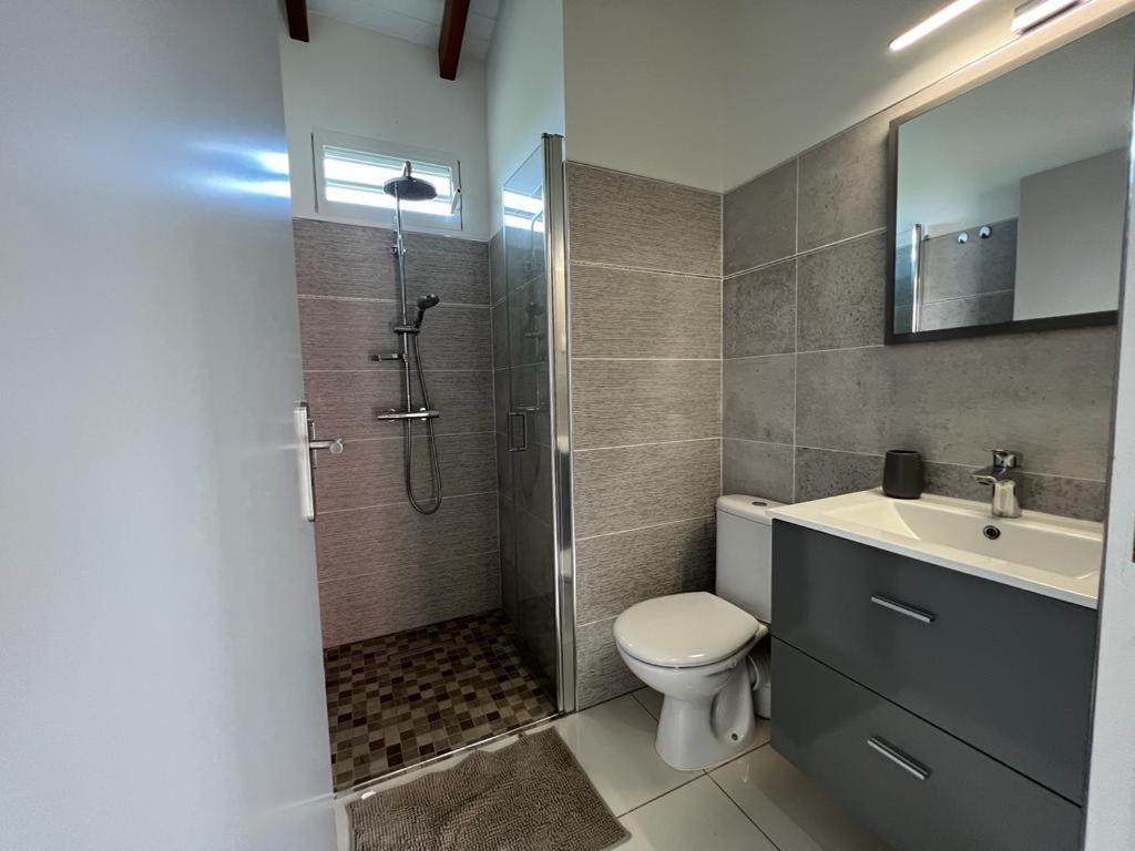 a bathroom with a shower and a toilet and a sink at LE DOUX PARADISE in Sainte-Rose