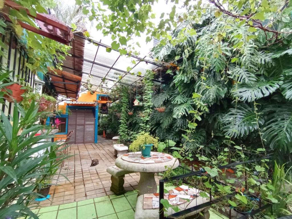 Zahrada ubytování Nirvana Apartament Hostal