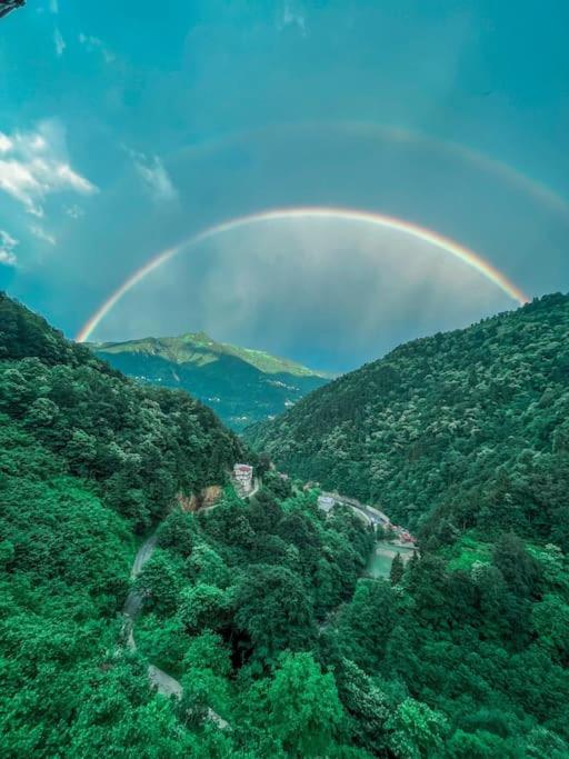 Jinsiy aloqa videolar yaqindan Tara Rid bilan porno