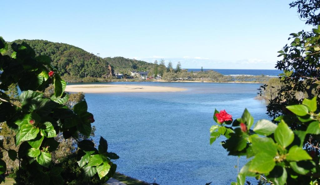 a view of a beach with flowers in the foreground at Motel Miramar in Nambucca Heads