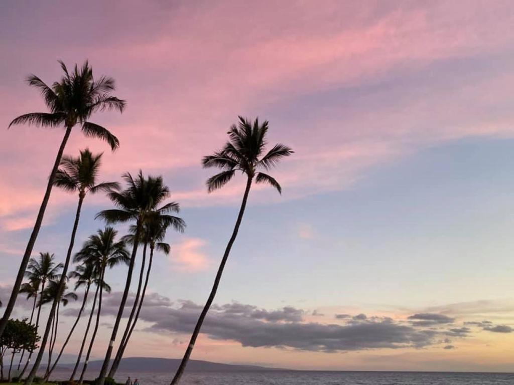 a group of palm trees on the beach at sunset at Live da HI life--great beach and great views! in Wailea