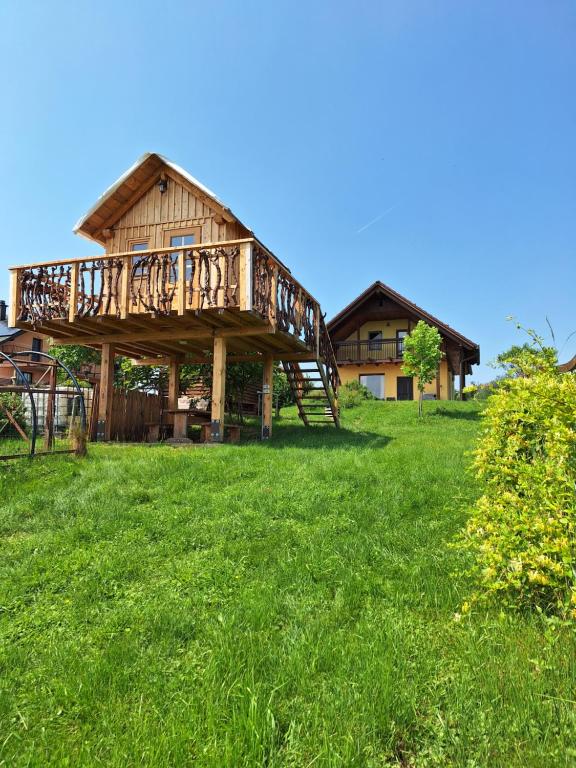 Sovica holiday home & tree house في Sveti Jurij ob Ščavnici: منزل خشبي كبير في حقل من العشب الأخضر