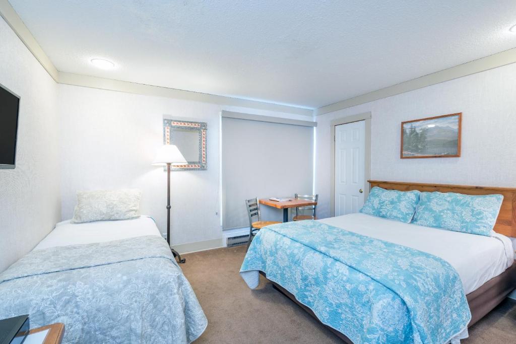 ein Hotelzimmer mit 2 Betten und einer Lampe in der Unterkunft Mountainside Inn 117 Hotel Room in Telluride